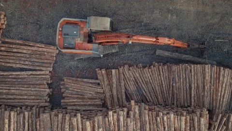 Aerial: top down shot of heavy logging machinery and stacked timber logs Stock Footage 230728617