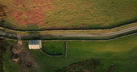 Aerial top down shot of lone walker on country lane Video stock 331498036