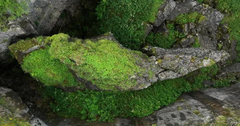 Aerial top down shot of a pothole in Yorkshire Stock-Footage 248893658