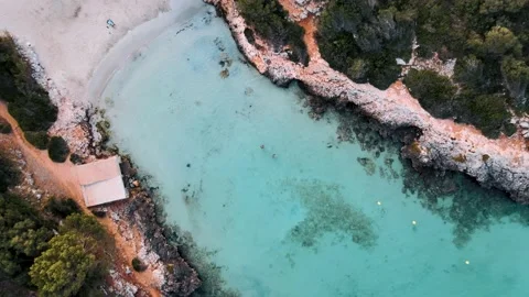 Aerial top down shot rising over Cala Sa Nau beach, a paradisiac place in Vídeo Stock 139028141