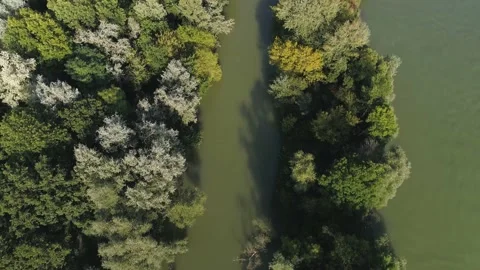 Aerial Top Down Shot of River in the Forest Vídeos de archivo 144667532