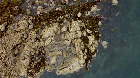 Aerial Top Down Shot Of Rocks Seashore Texture Birds Stock Footage 207465840