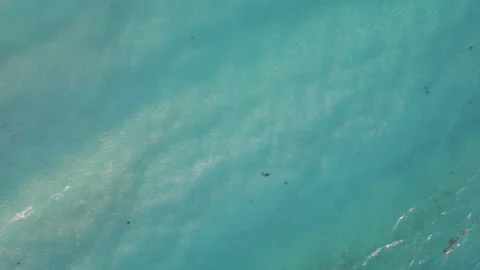 Aerial Top down shot of rolling waves in a crystal clear blue ocean in Stock Footage 250317848