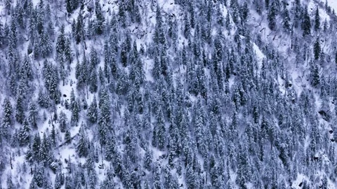 Aerial top-down shot showcasing a mesmerizing winter landscape, as snow-covered Stock Footage 304948509