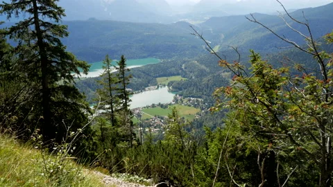 Aerial top down shot of trees in forest on hill and lake in valley.Epic. Video stock 139605862