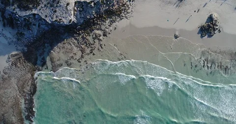 Aerial Top down Shot of Waves Crashing on Beach Below Stock Footage 91988466