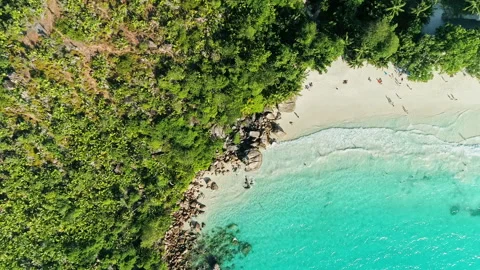 Aerial top down shot: Waves breaking onto tropical beach Stock Footage 242021086