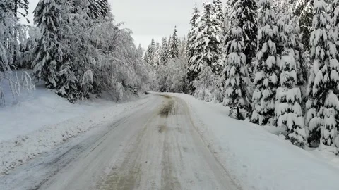 Aerial top down shot of white car drives along the road in winter snowy forest.  Stock Footage 221812902