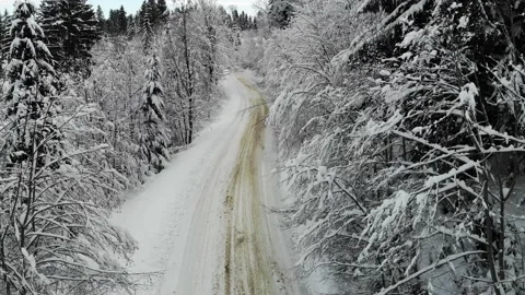 Aerial top down shot of white car drives along the road in winter snowy forest.  Video stock 221813426