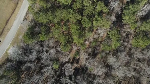 Aerial top down of storm damage in winter after Hurricane Helene in Appling.. Video stock 317015262