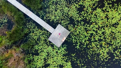 Aerial Top Down Sunset View of lake pier zoom. Stockbeeldmateriaal 169870585
