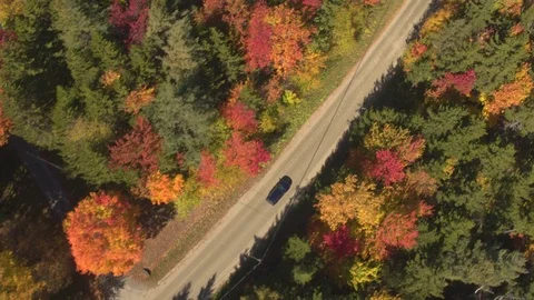 AERIAL TOP DOWN: SUV car driving empty road in beautiful colorful autumn forest Stock Footage 80037668