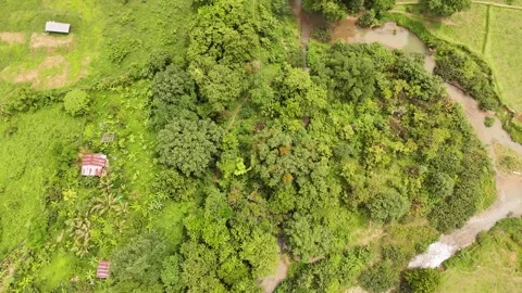 Aerial Top Down Tilt Over Trees, Farm Huts and River Bend, Pha Tang Laos Vídeos de archivo 347423932