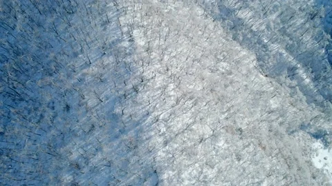 Aerial top down tilt view on winter ice covered trees and snowy mountains Stock Footage 153686670