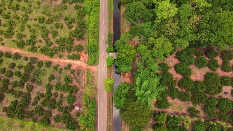 Aerial top down tracking of rural road and irrigation canal through orchards 스톡 동영상 334605401