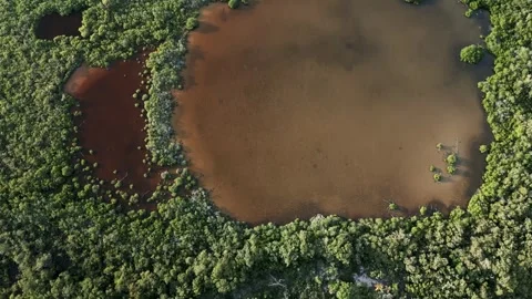 Aerial top down Tulum Sian Ka'an Mexico natural park reserve biosphere Stock Footage 253905585