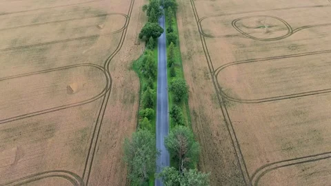 Aerial Top Down Video Flying Over Road Through Golden Fields 스톡 동영상 341697917