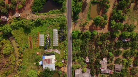 Aerial top down view of a 90 degree curve on a rural road between fruit farms Stock-Footage 334859536