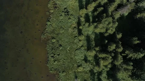 Aerial top down view of abstract nature theme of forest and lake. Stock-Footage 237338491