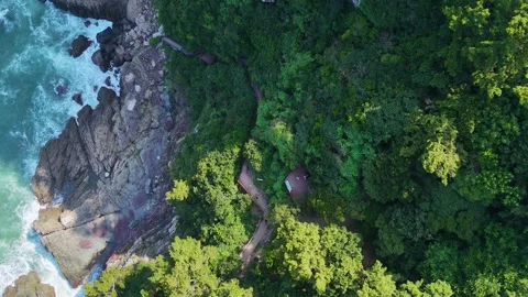 Aerial top down view of amnam park observation point in busan 스톡 동영상 341908632