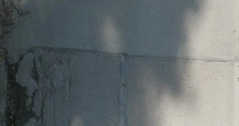 Aerial Top Down View of Asphalt Road Without Vehicles Next to Wooded Area Vídeo Stock 201280680