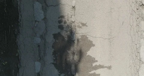 Aerial Top Down View of Asphalt Road Without Vehicles Next to Wooded Area Vídeo Stock 201280804