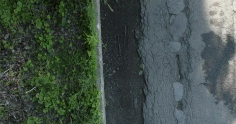 Aerial Top Down View of Asphalt Road Without Vehicles Next to Wooded Area Vídeo Stock 201280976