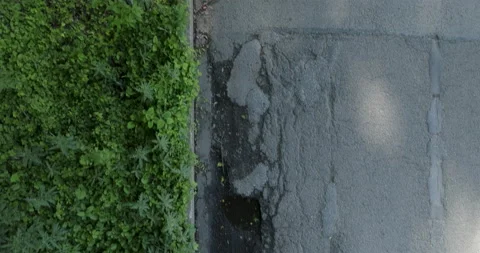 Aerial Top Down View of Asphalt Road Without Vehicles Next to Wooded Area Vidéo 201281378