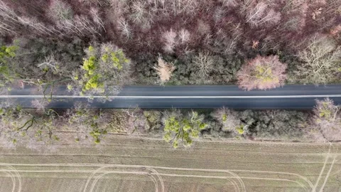 Aerial Top Down View of Asphalt Road Between Forest and Plowed Field Stock Footage 323498124