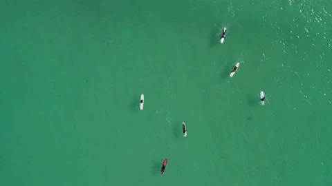Aerial top down view of Australian longboard surfers Video stock 133348046