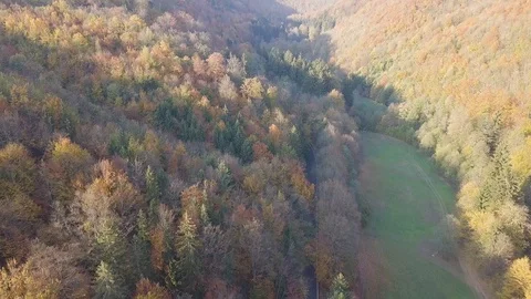 Aerial top down view of autumn forest with green and yellow trees. Colorful tree Stock Footage 129564968