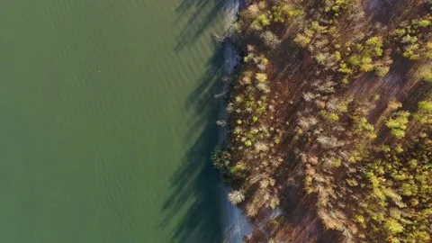 Aerial top down view of autumn forest with green and yellow trees and river. Stock Footage 141286296
