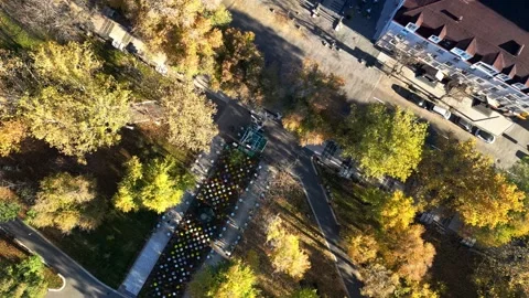 Aerial top down view of autumn park path with colorful light tunnel Stock Footage 320790246