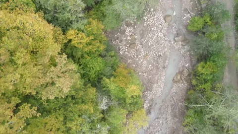 Aerial top-down view of autumn forest and riverbed Stock Footage 337889611