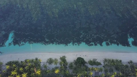 Aerial  top down view of a beach on a tropical paradise island Stock Footage 125016163