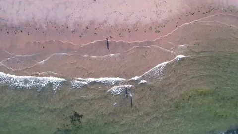 Aerial Top Down View of the Beach at North Sea in Scotland Stock Footage 156523719