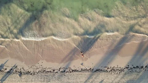 Aerial top-down view of the beach and people walking on it at sunset Stock-Footage 308334296