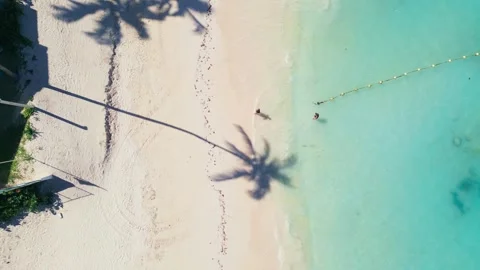 Aerial top-down view of the beach, people and the shadow of a palm tree Stock Footage 309235570