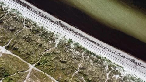 Aerial Top-Down View of Beach and Dunes at Skolabacken, Ven Island, Sweden Stock Footage 340875037