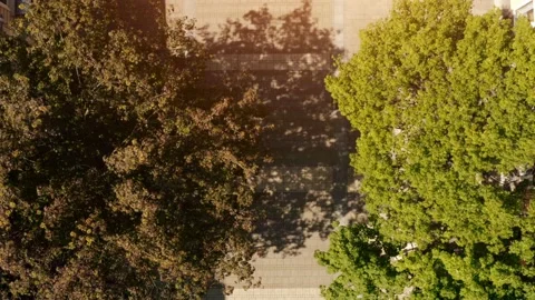 Aerial top down view of beautiful street with green trees. Summer time Stock Footage 168643669