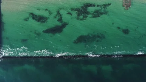 Aerial top down view of a beautiful sea with flying birds and small waves Video stock 168907555