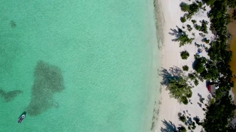 Aerial top down view of the beautiful Stingray Beach, Long island Stock Footage 240406824