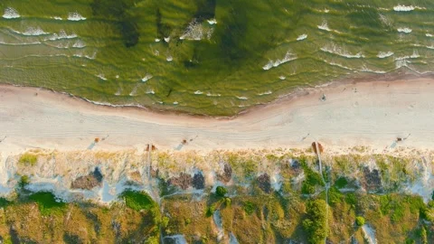 Aerial top-down view of beautiful sandy Curonian Spit beaches, Baltic sea shore Stock Footage 247056501