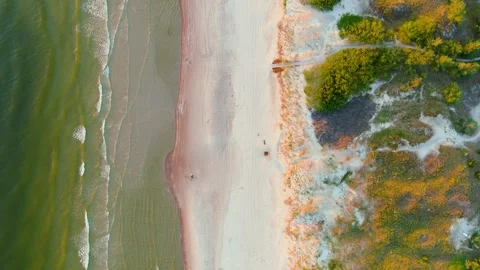 Aerial top-down view of beautiful sandy Curonian Spit beaches, Baltic sea shore Vídeos de archivo 247266037
