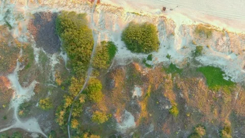 Aerial top-down view of beautiful sandy Curonian Spit beaches, Baltic sea shore 스톡 동영상 248779575