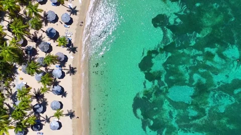 Aerial top down view of the beautiful Morris Bay Beach, Antigua island Stock Footage 274268961