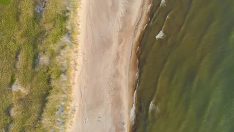 Aerial Top Down View of Beautiful Sandy Curonian Spit Beach in Lithuania Stock Footage 321755754