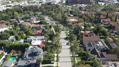 Aerial top down view of Beverly Hills mansions, palm trees, gardens, and cars Stock Footage 272717160