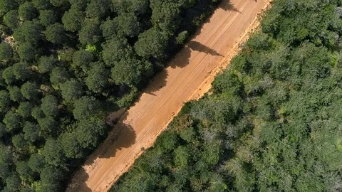 Aerial Top Down View of a Biker Riding Through the Forest Stock Footage 121340099
