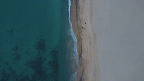 Aerial top down view of blue beach during summer near Palamos Costa Brava 스톡 동영상 246301500